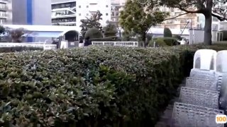 精品欧美一区二区三区影视a_欧美亚洲精品成人视频